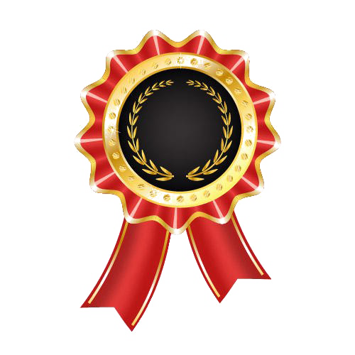 UI/UX Certification